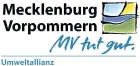 MV tut gut